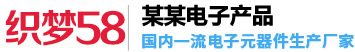 上海某某电子仪器有限公司